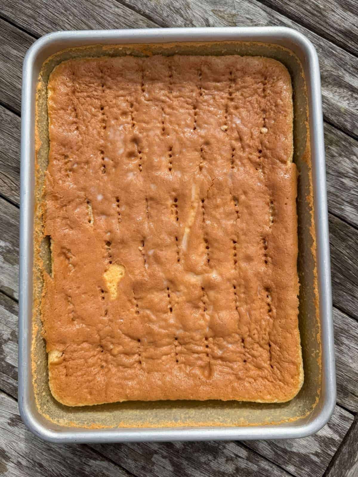 sponge cake soaked in 3 milks