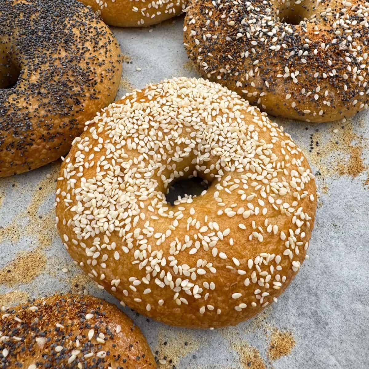 overnight New York style bagels