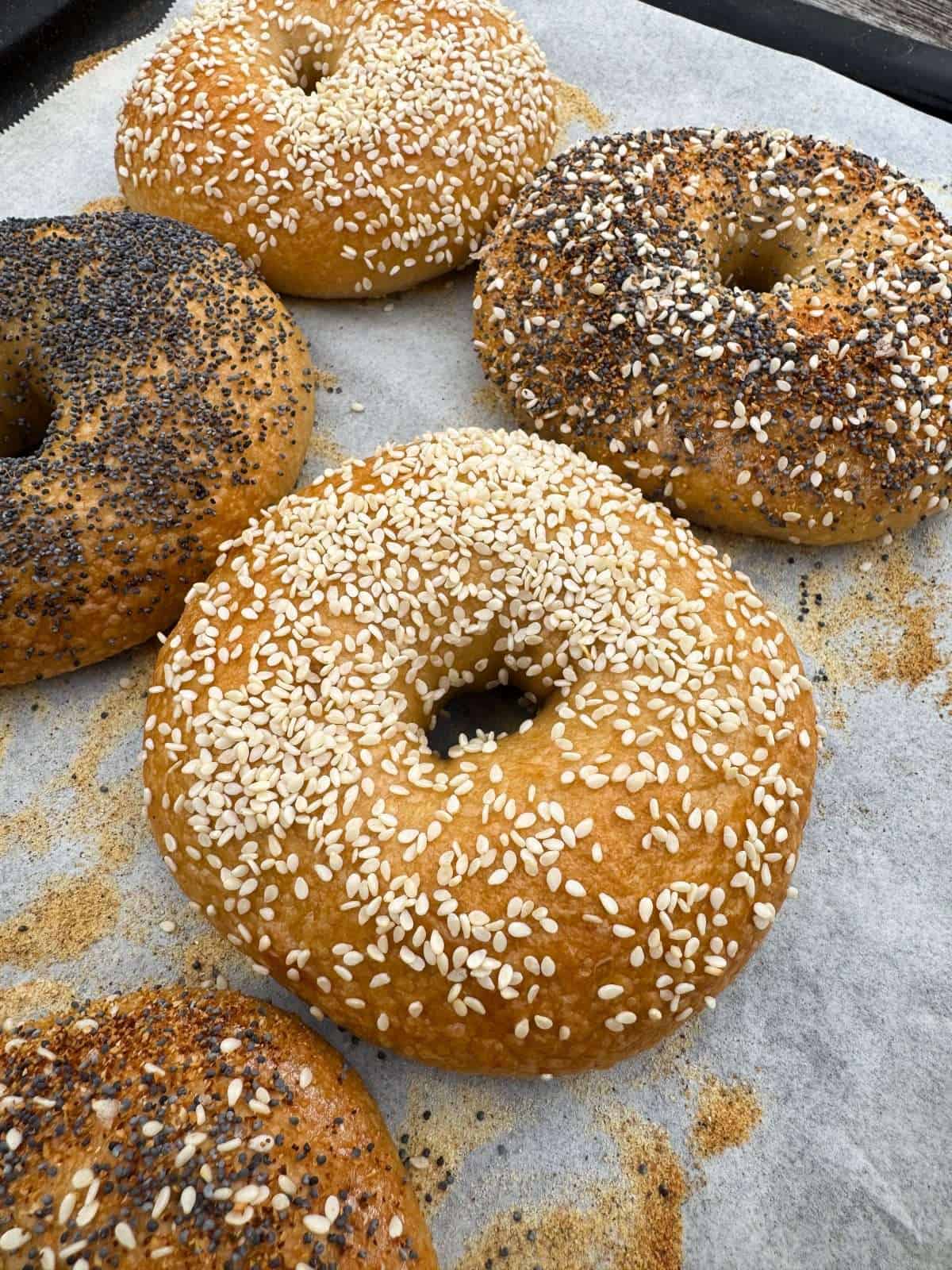 New York style bagels topped with seeds