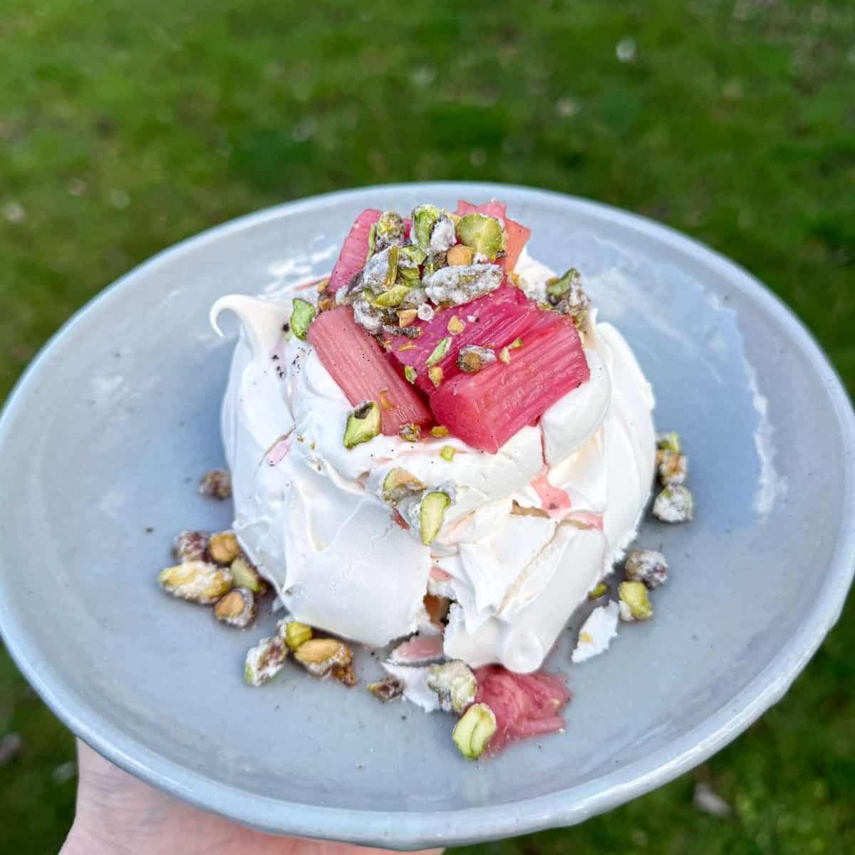 rhubarb & custard pavlova with crystallised pistachios