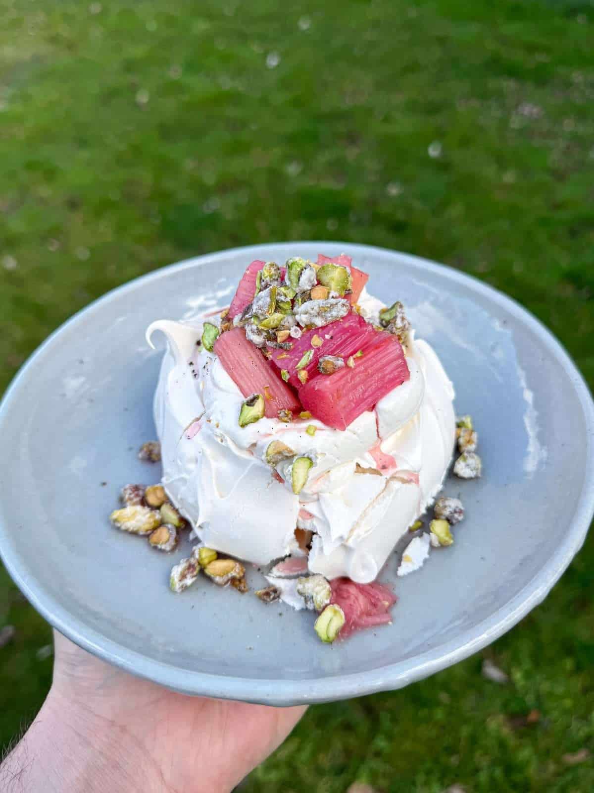 rhubarb & custard individual pavlova