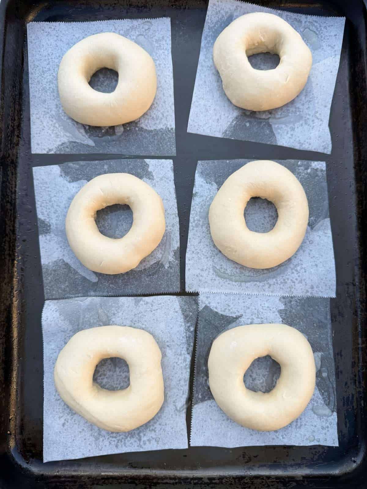 shaped bagels on oiled baking parchment squares