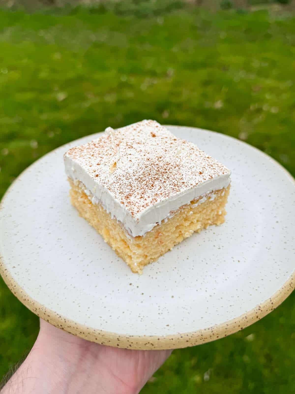 tres leches cake with whipped cream