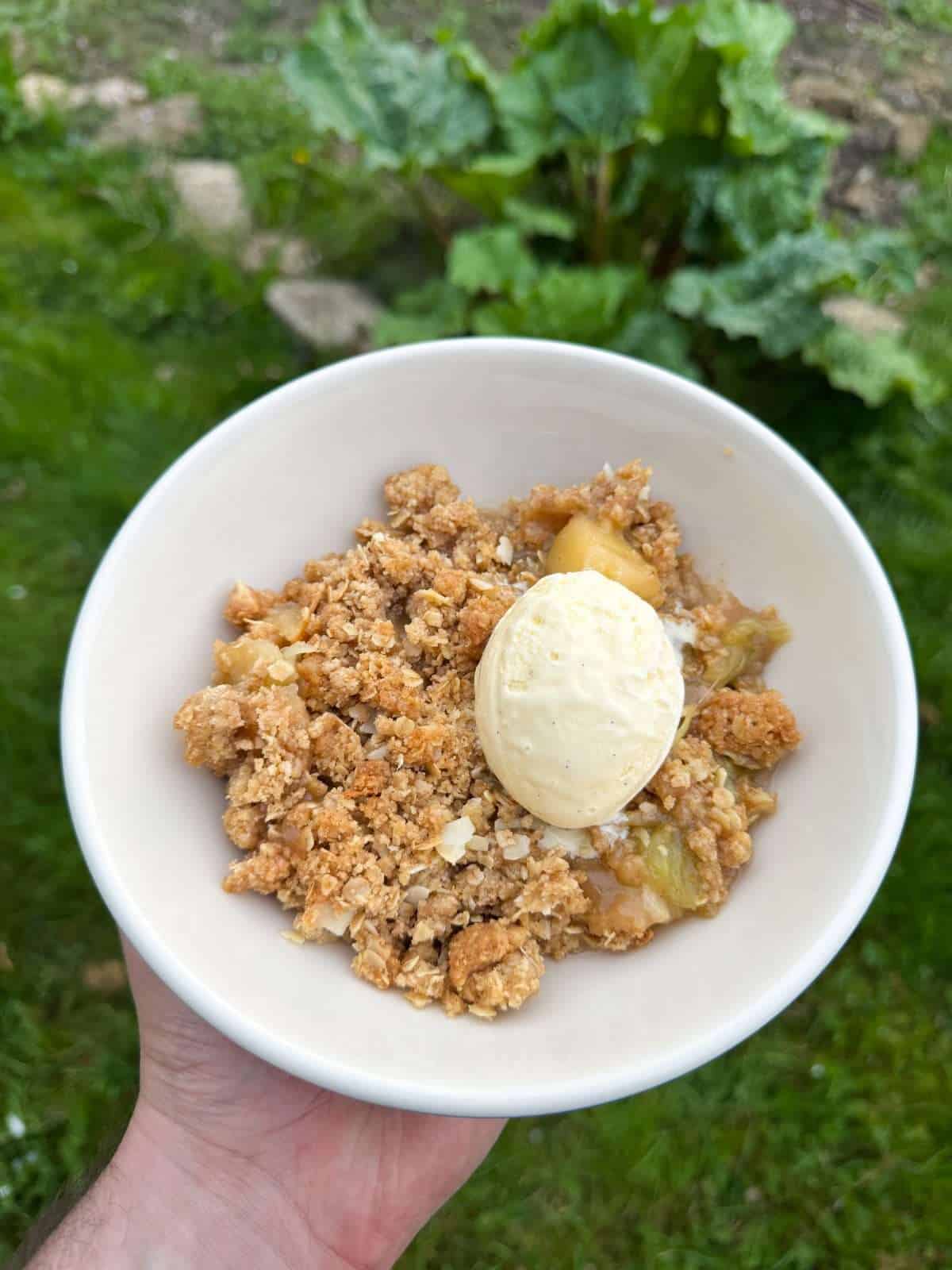 rhubarb & apple crumble with vanilla ice cream