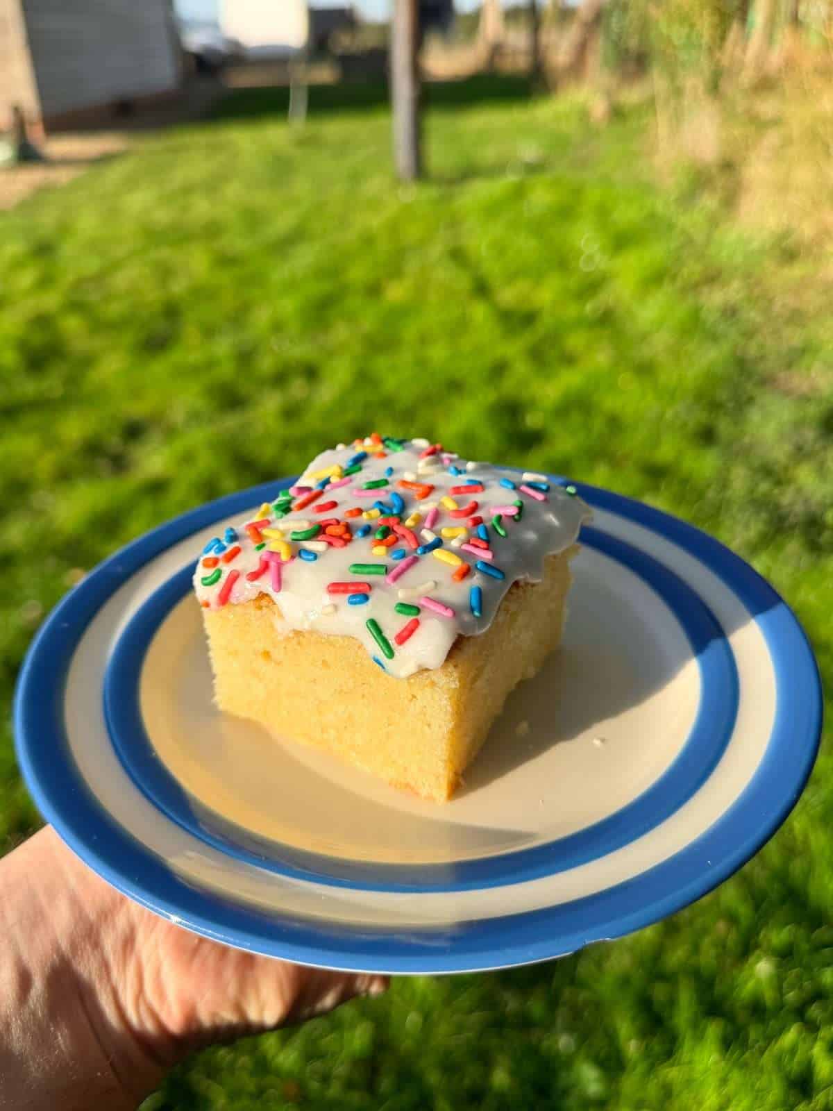 piece of school cake on plate