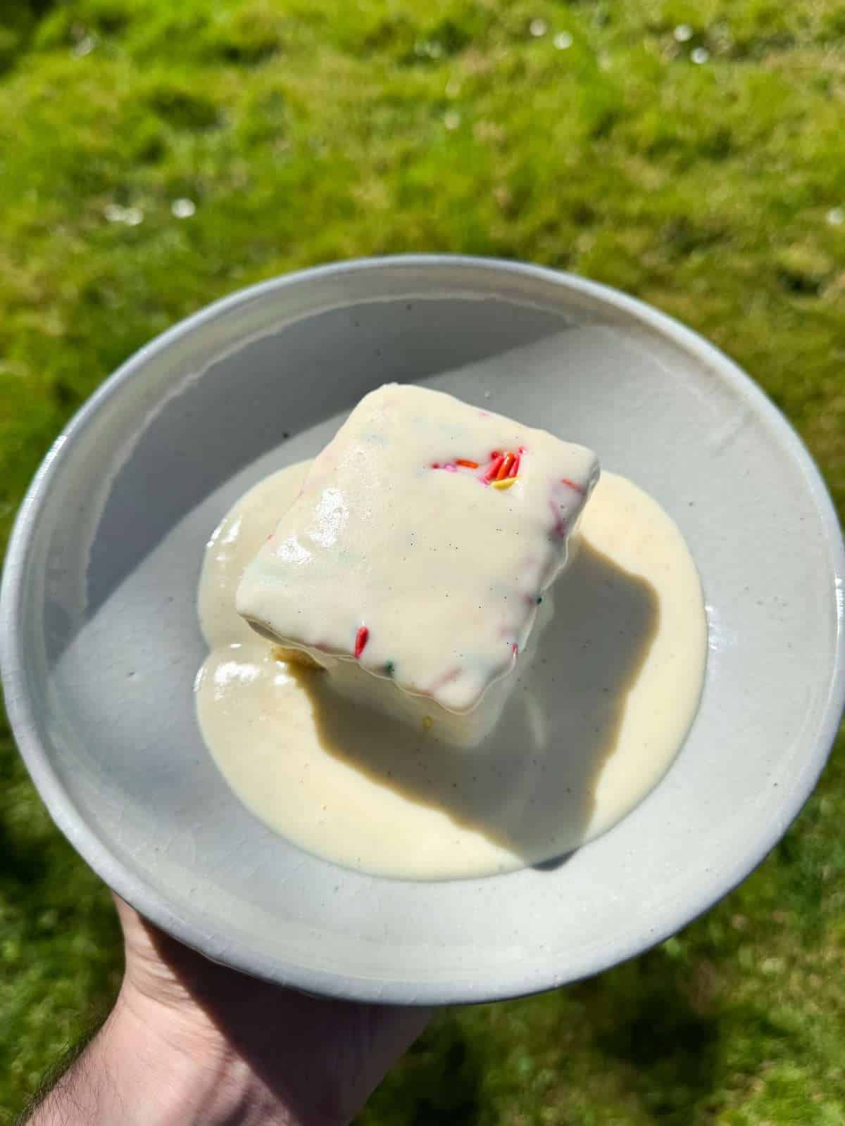 school cake with vanilla custard