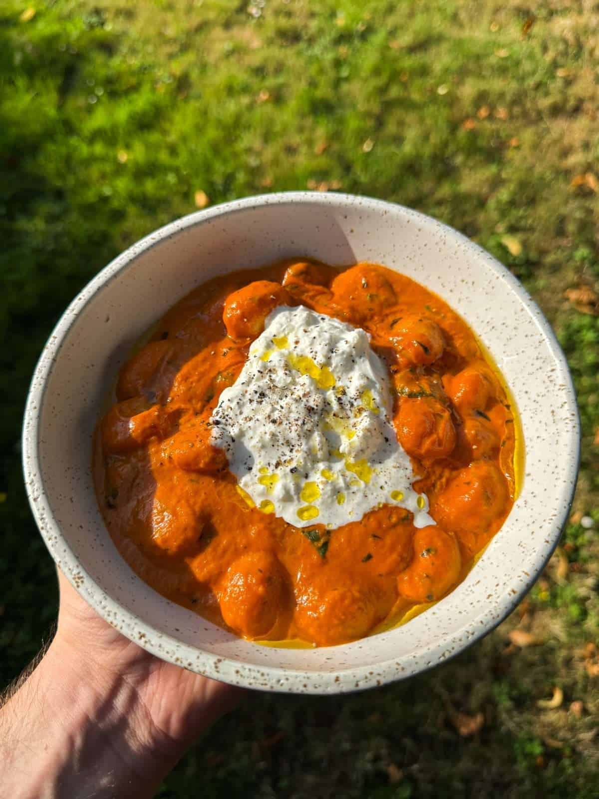 gnocchi in tomato vodka sauce
