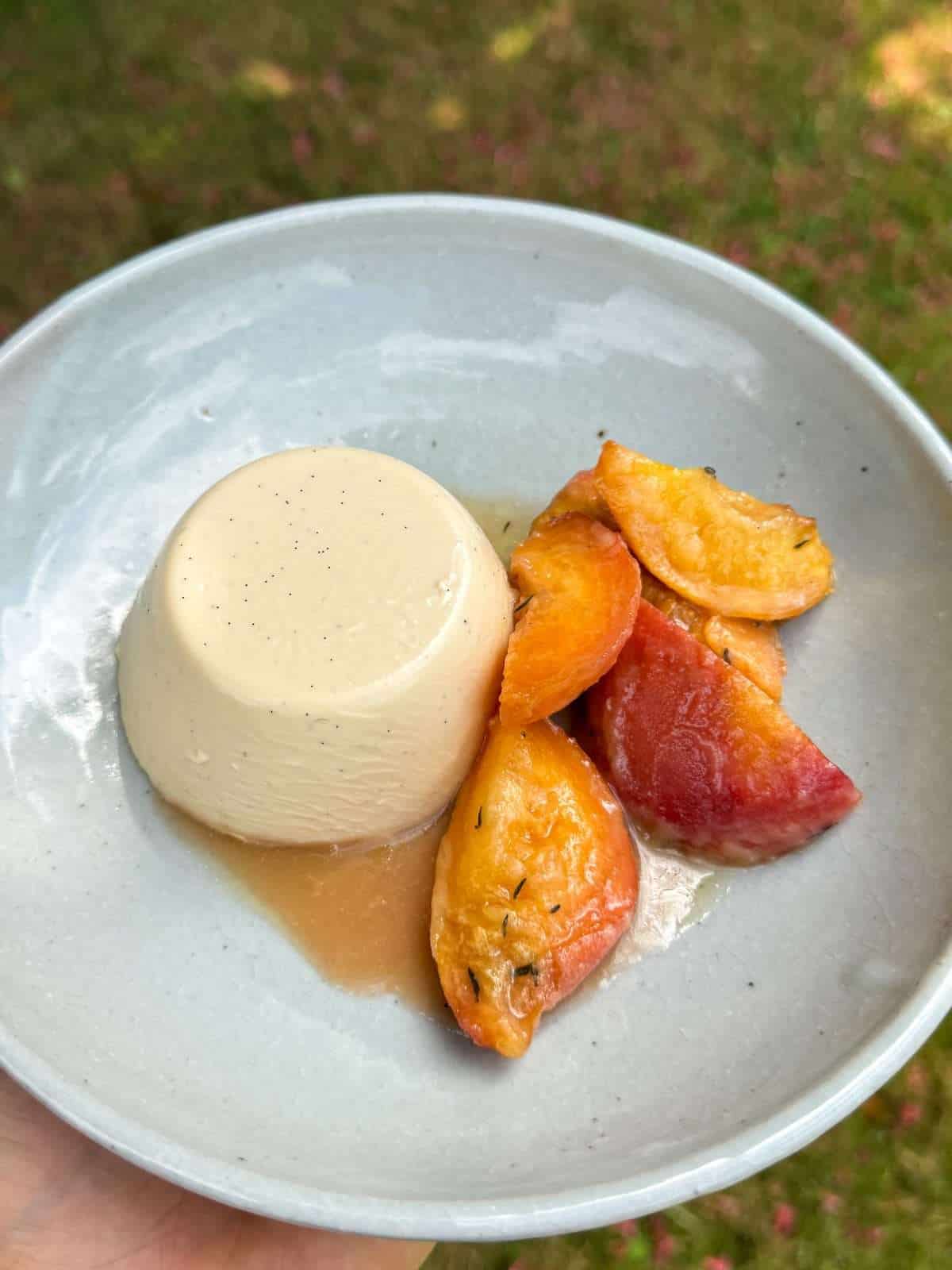 panna cotta and peaches close up