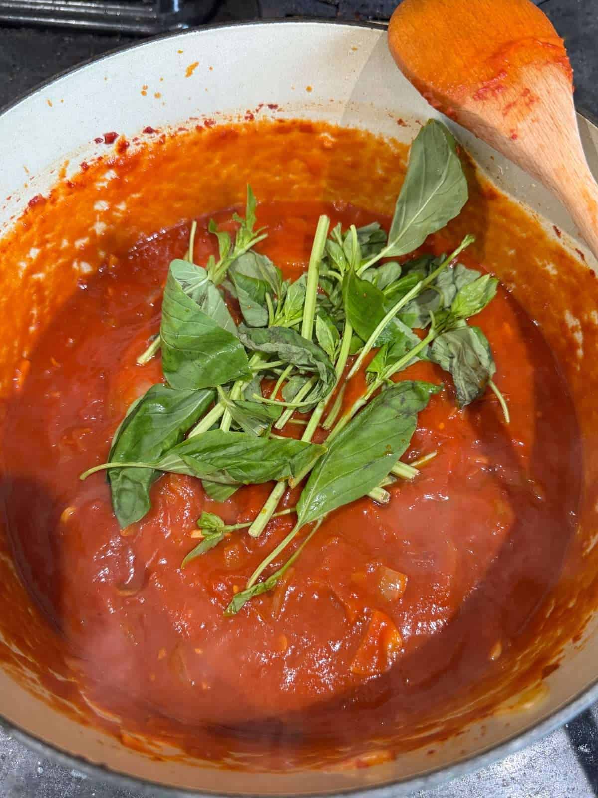 tomato sauce with basil stalks