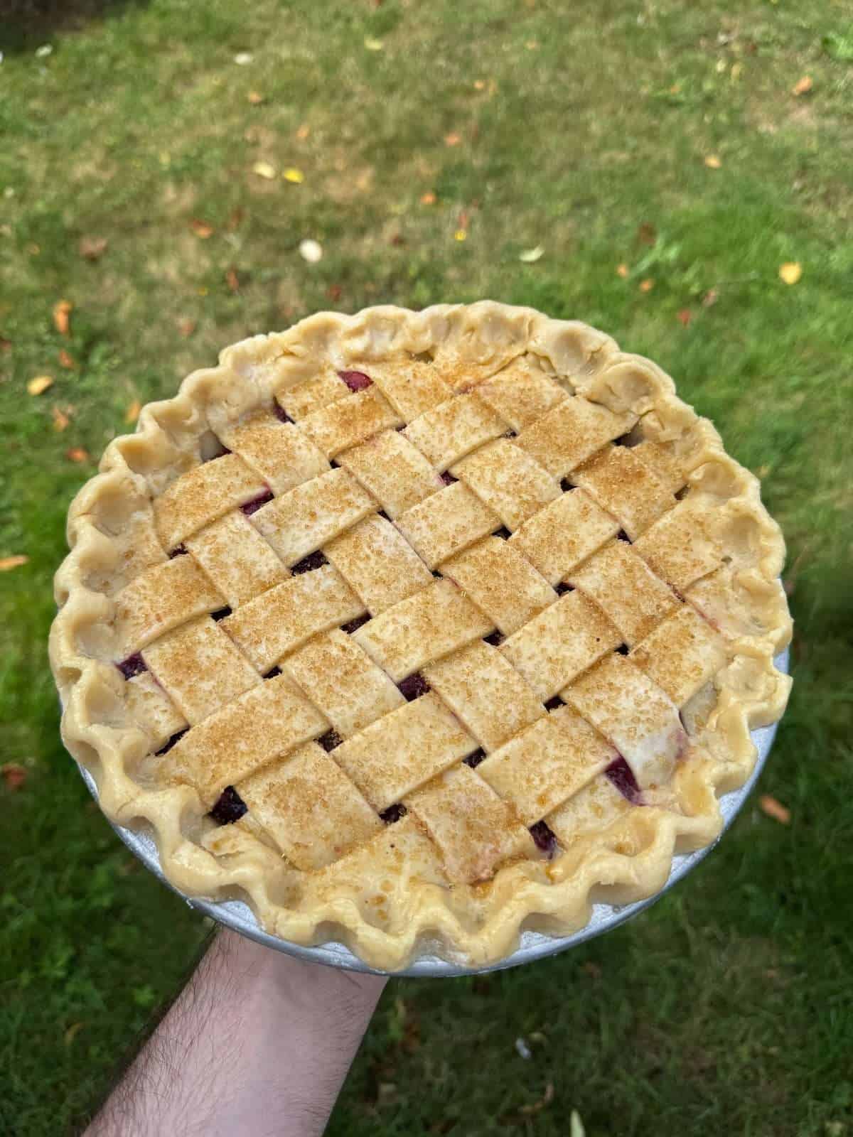 cherry pie topped with demerara sugar