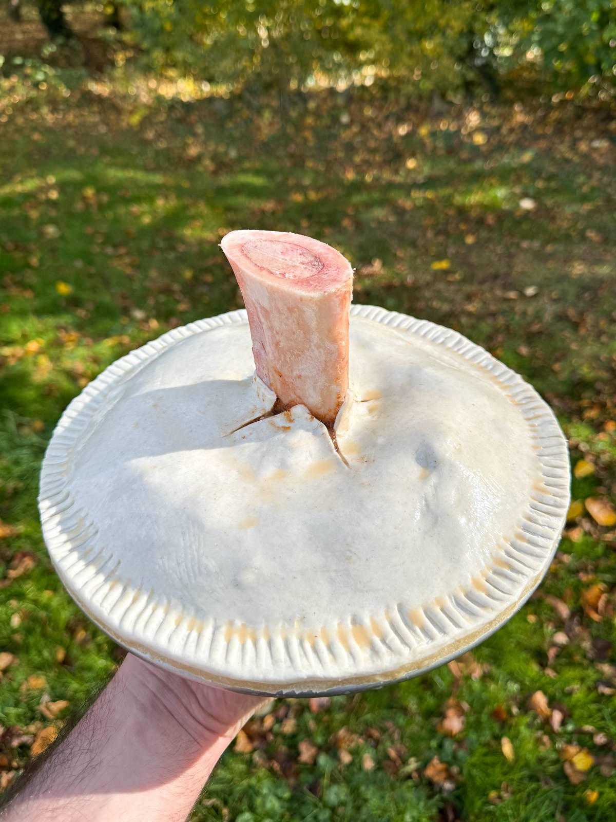 assembled egg washed beef pie with bone marrow in middle