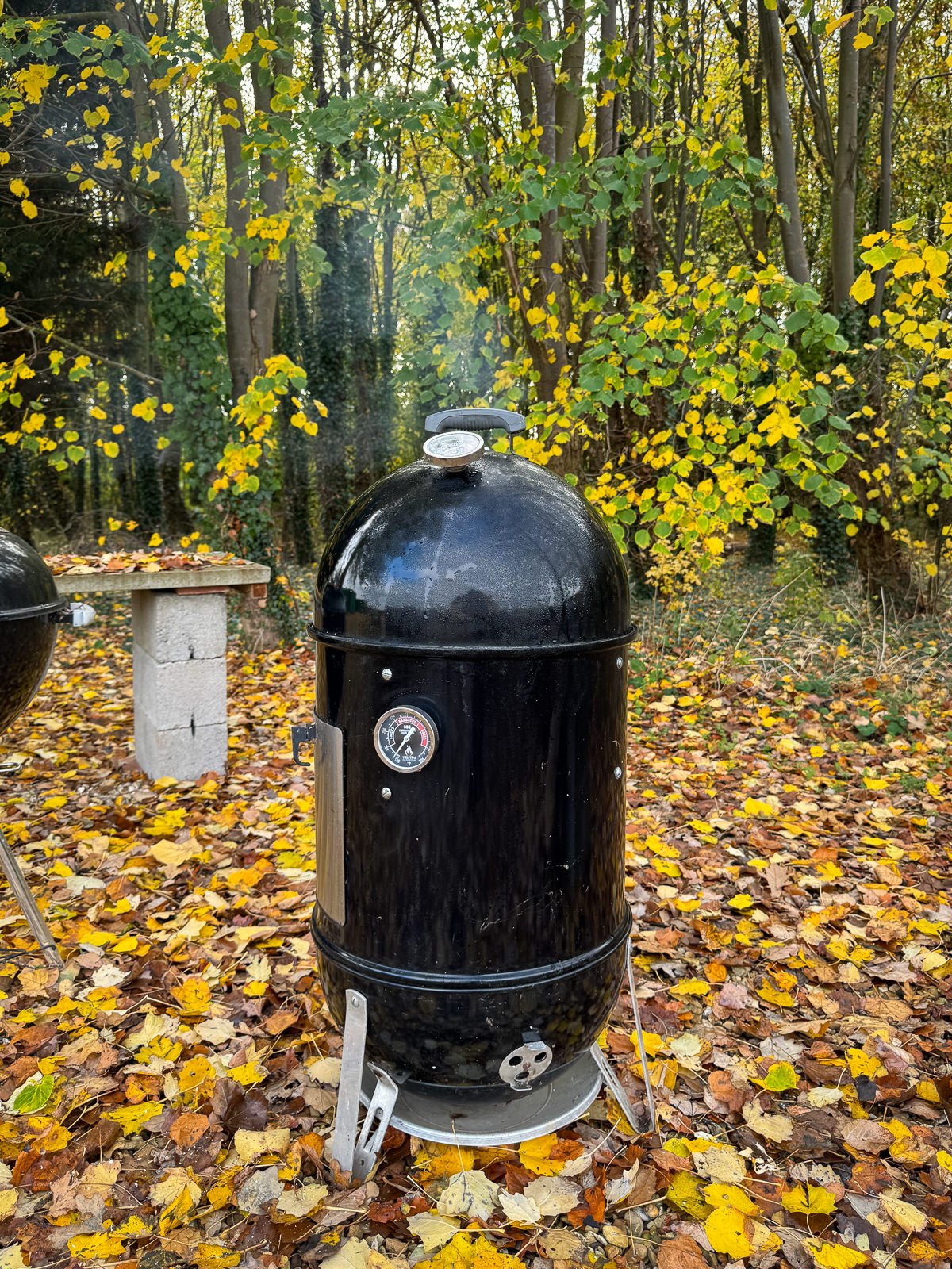 smoker bbq in Autumn leaves