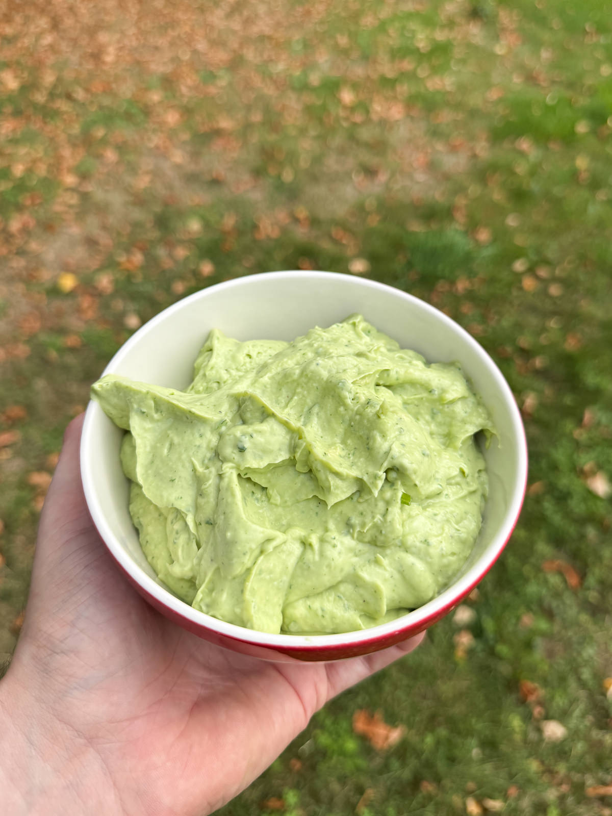 avocado sour cream crema