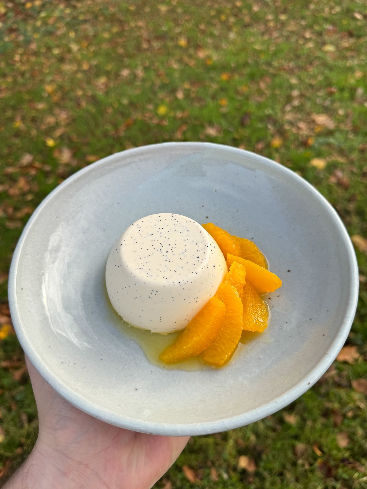 Baileys panna cotta with orange segments