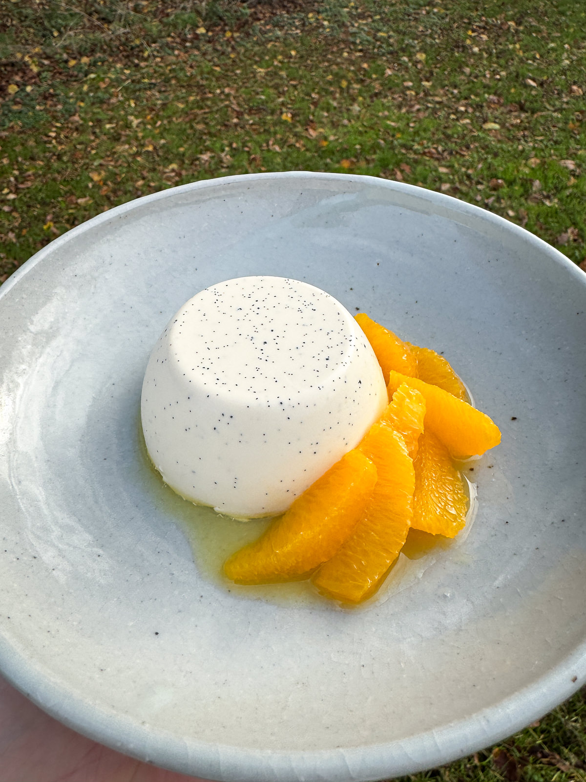 Baileys panna cotta with orange syrup