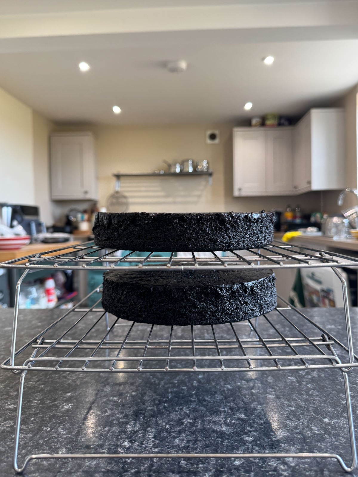 baked chocolate cake layers