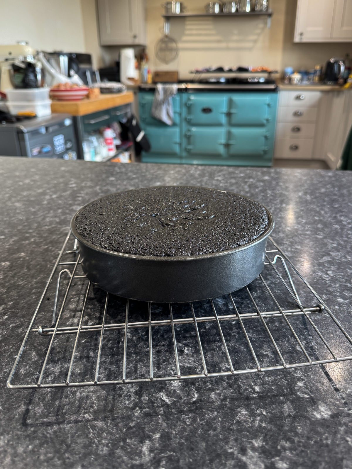 baked chocolate sponge