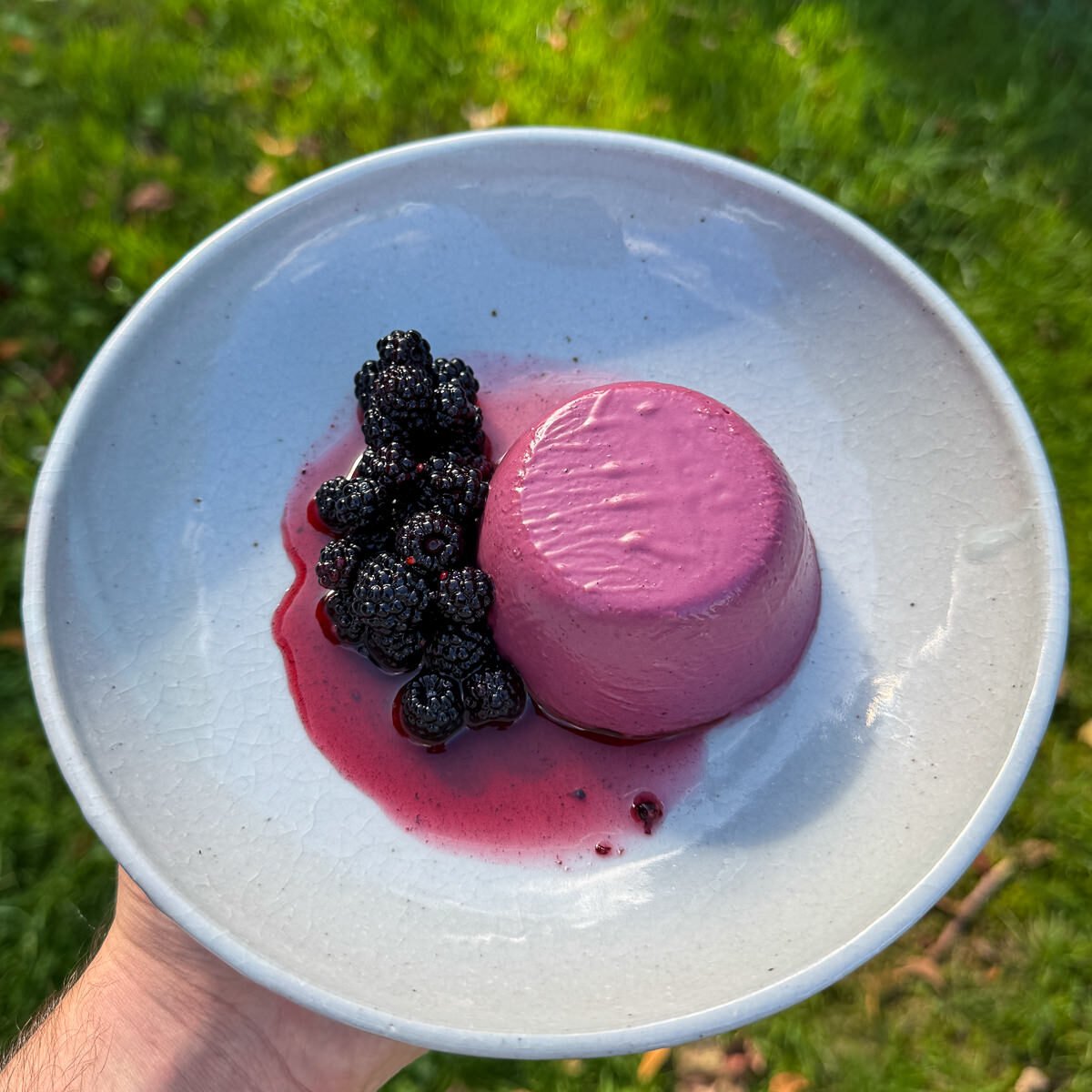 roasted blackberry panna cotta with macerated blackberries