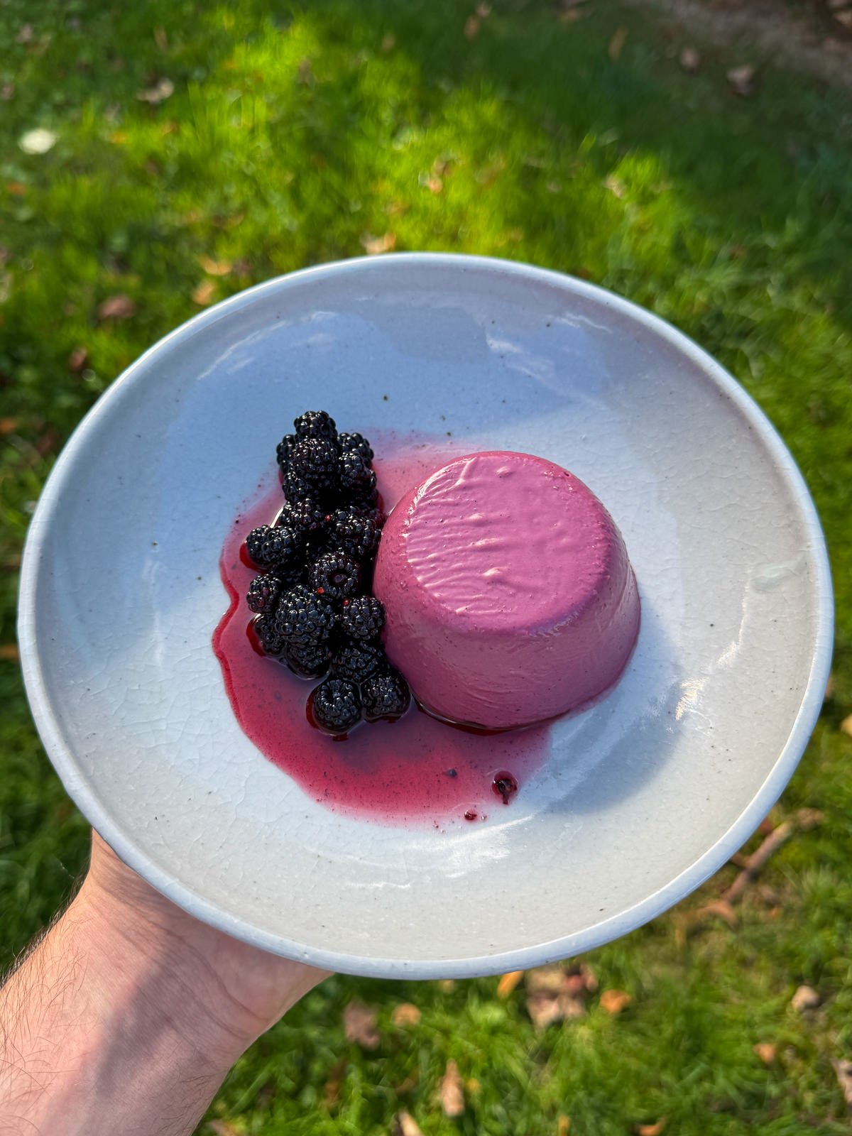 blackberry vanilla panna cotta