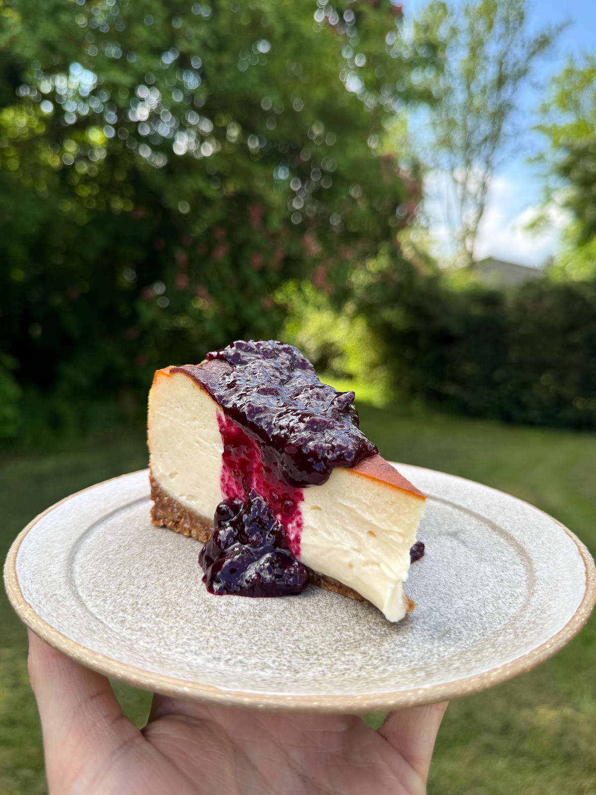 blueberry compote with cheesecake