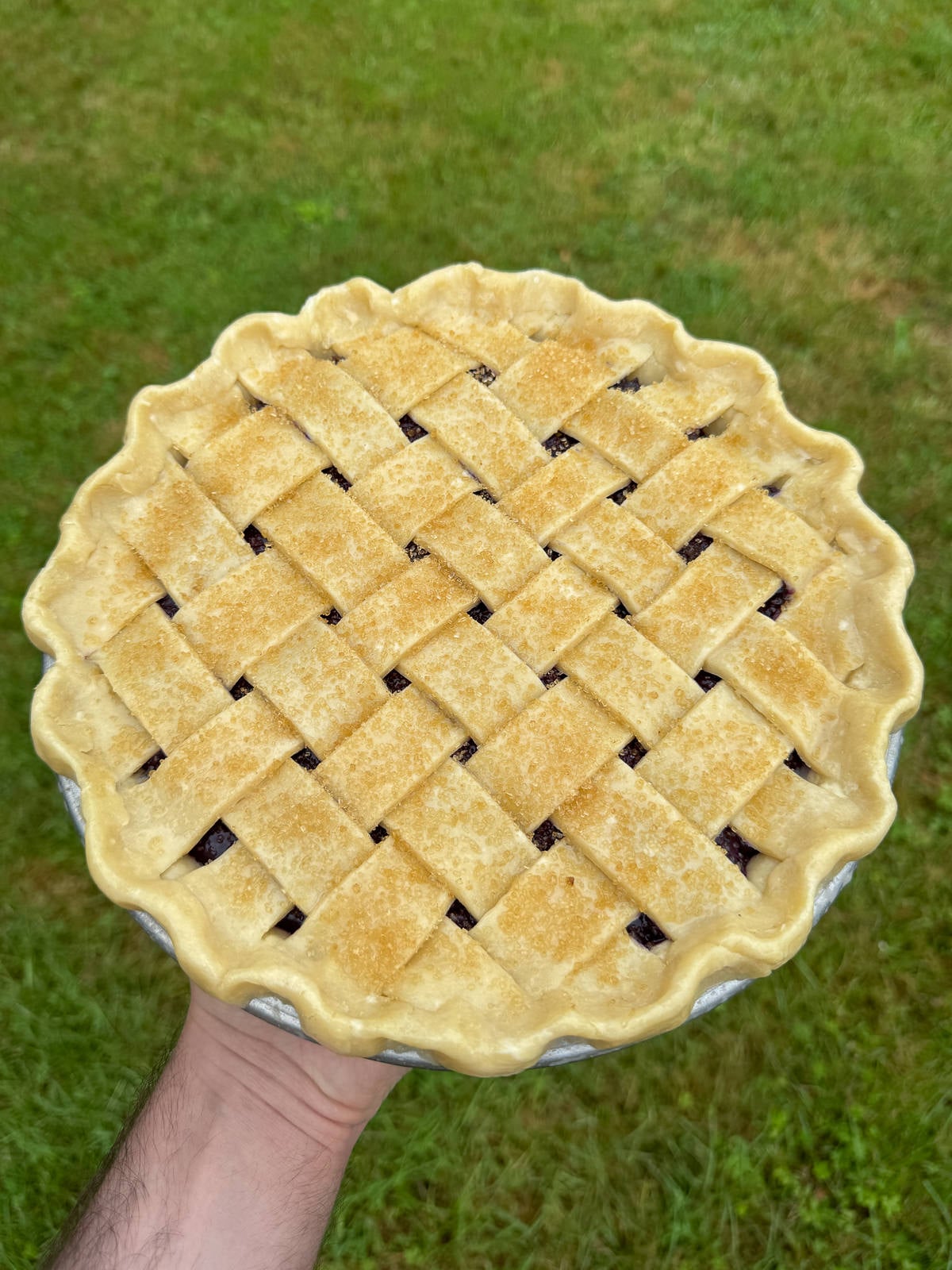 lattice pie sprinkled with demerara sugar