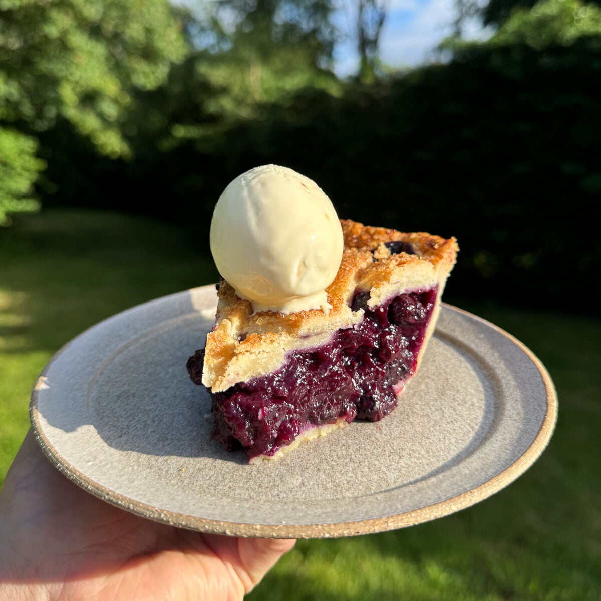 classic blueberry pie
