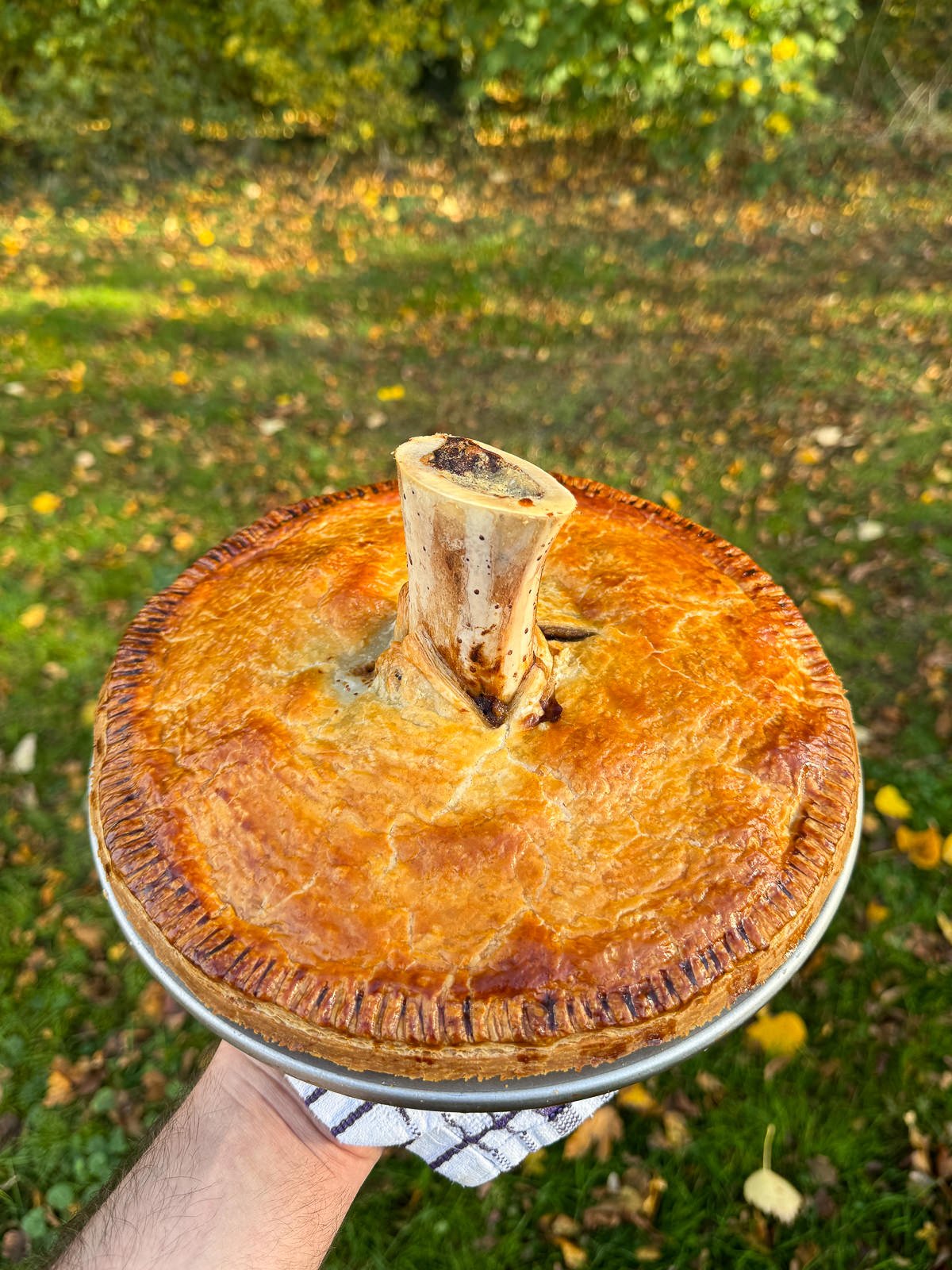 smoked short rib Guinness pie with roasted bone marrow