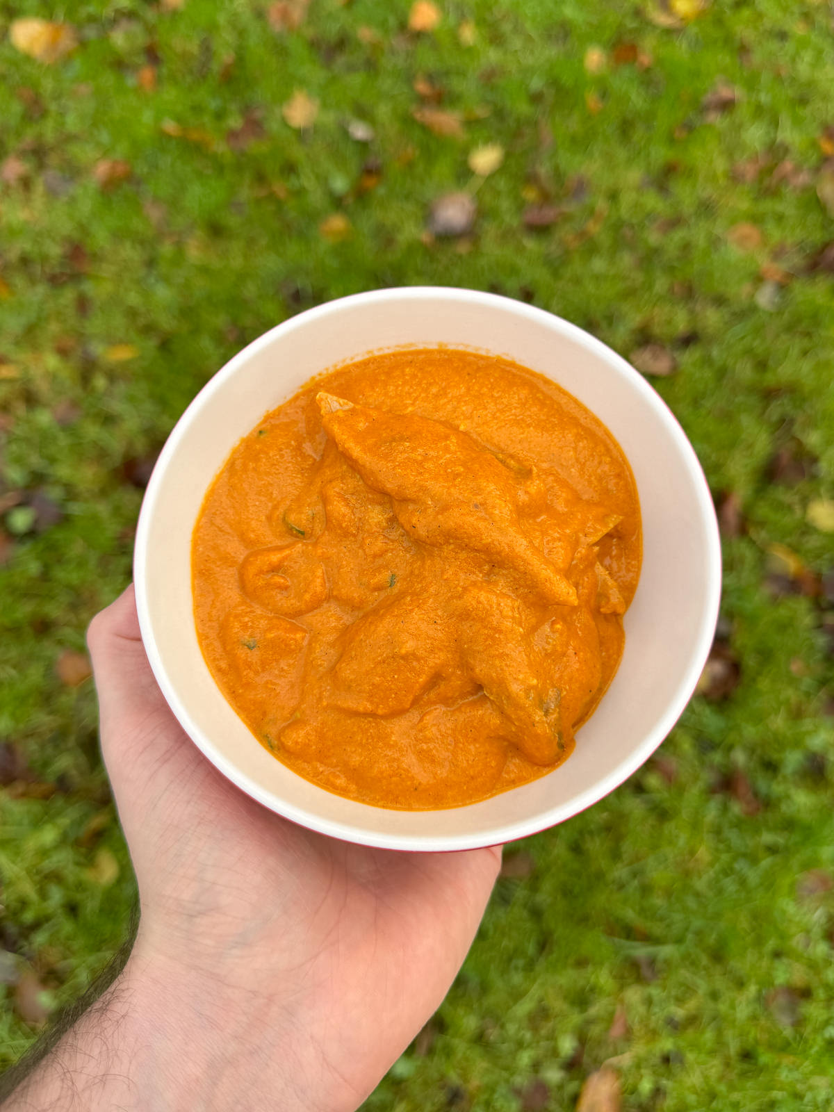 bowl of turkey curry