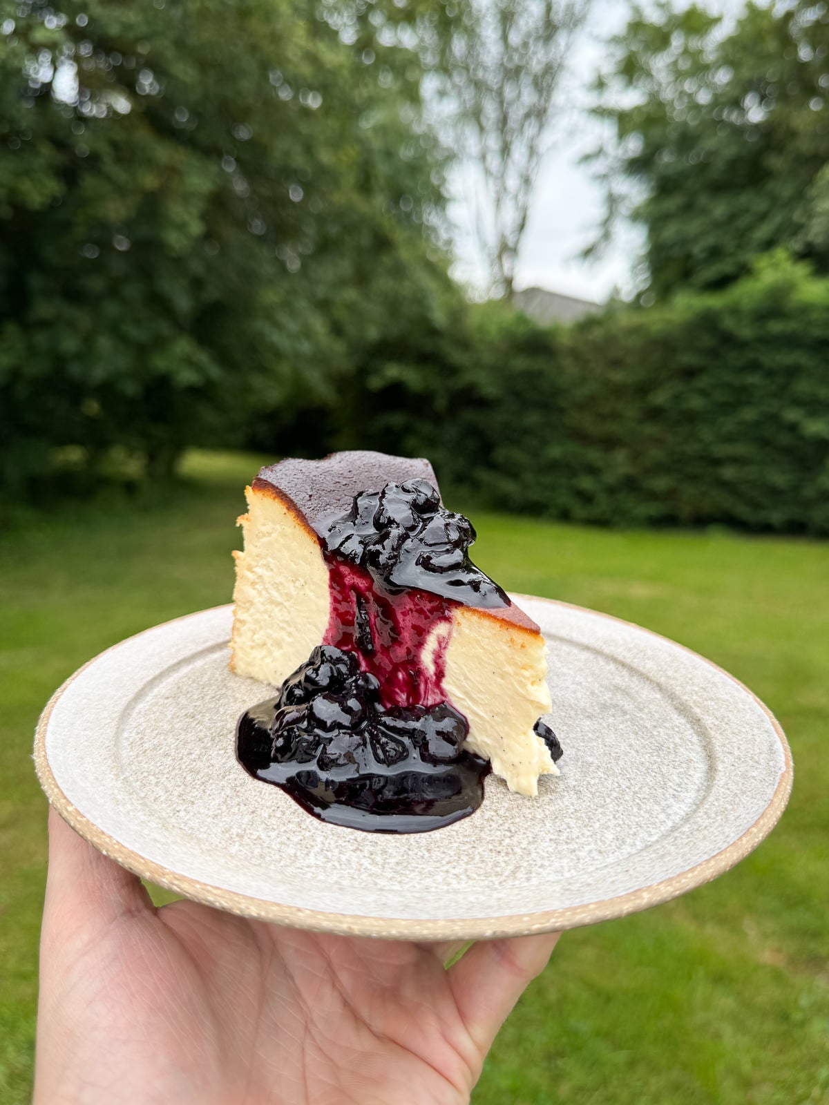 white chocolate cheesecake with blueberry