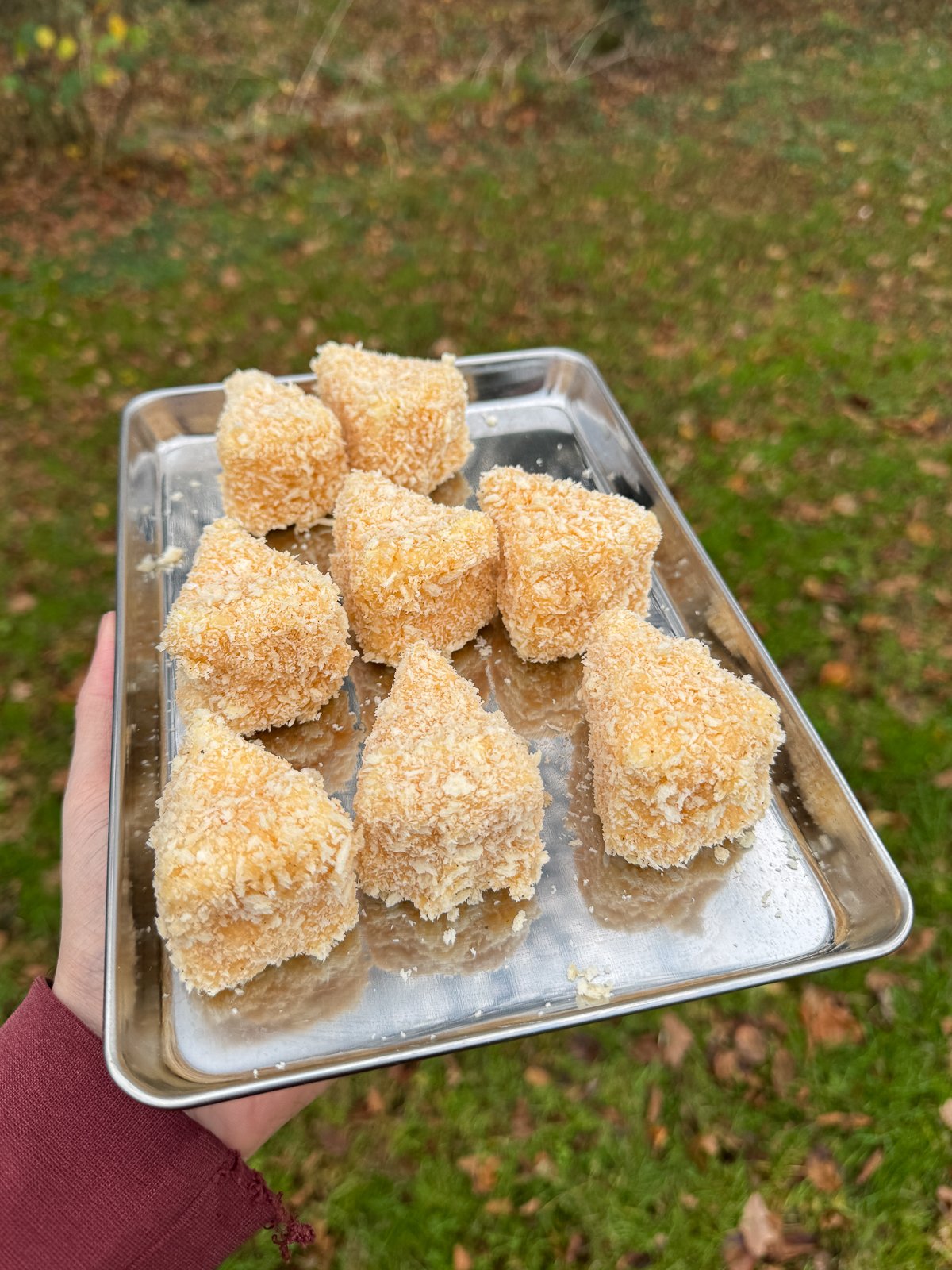 camembert wedges coated in breadcrumbs