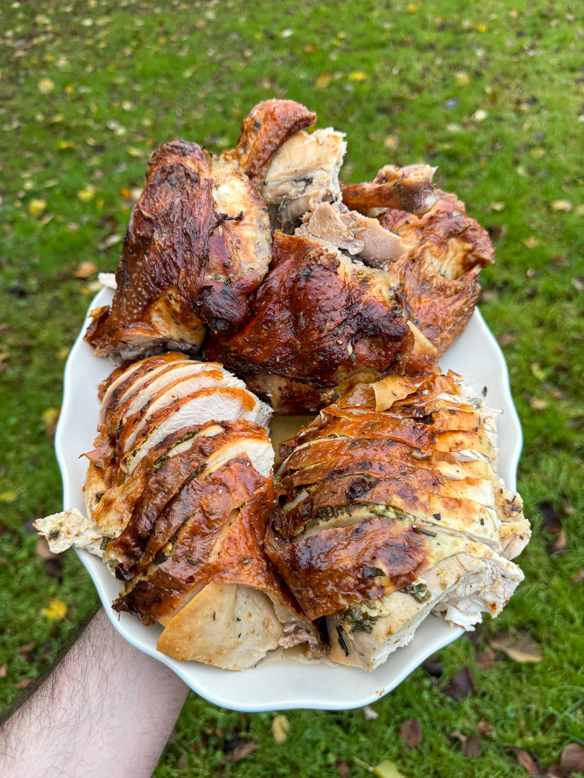 carved spatchcock turkey