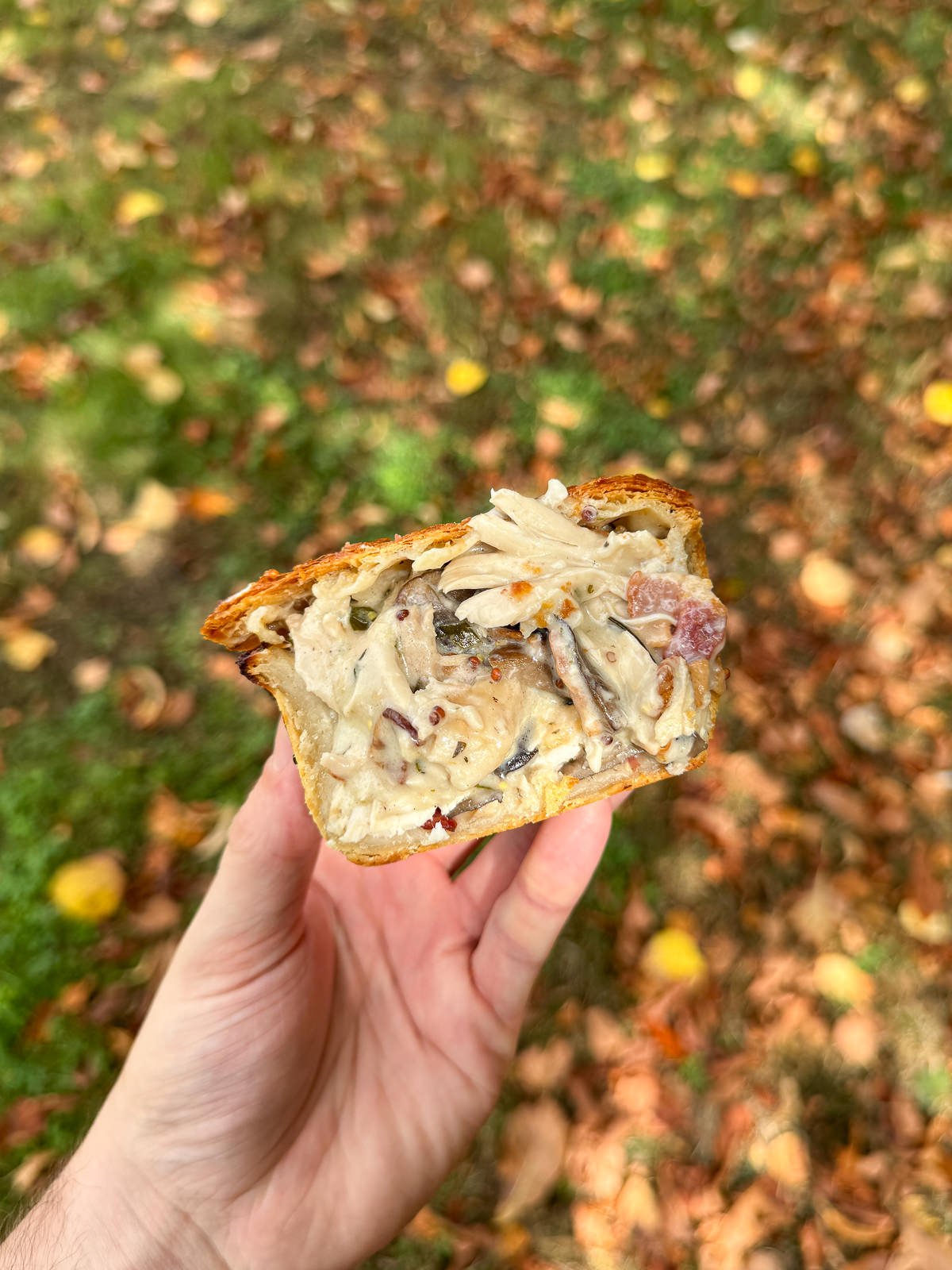 chicken pie cross section