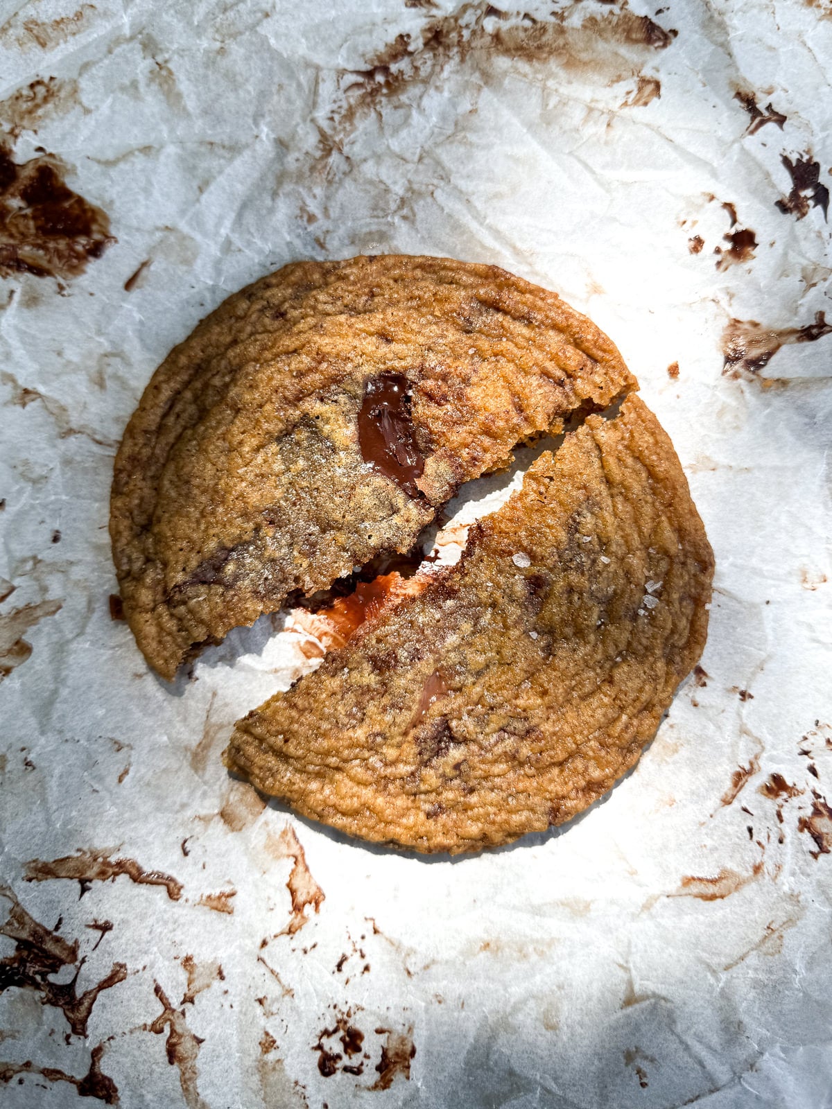 chocolate chip cookie on tray