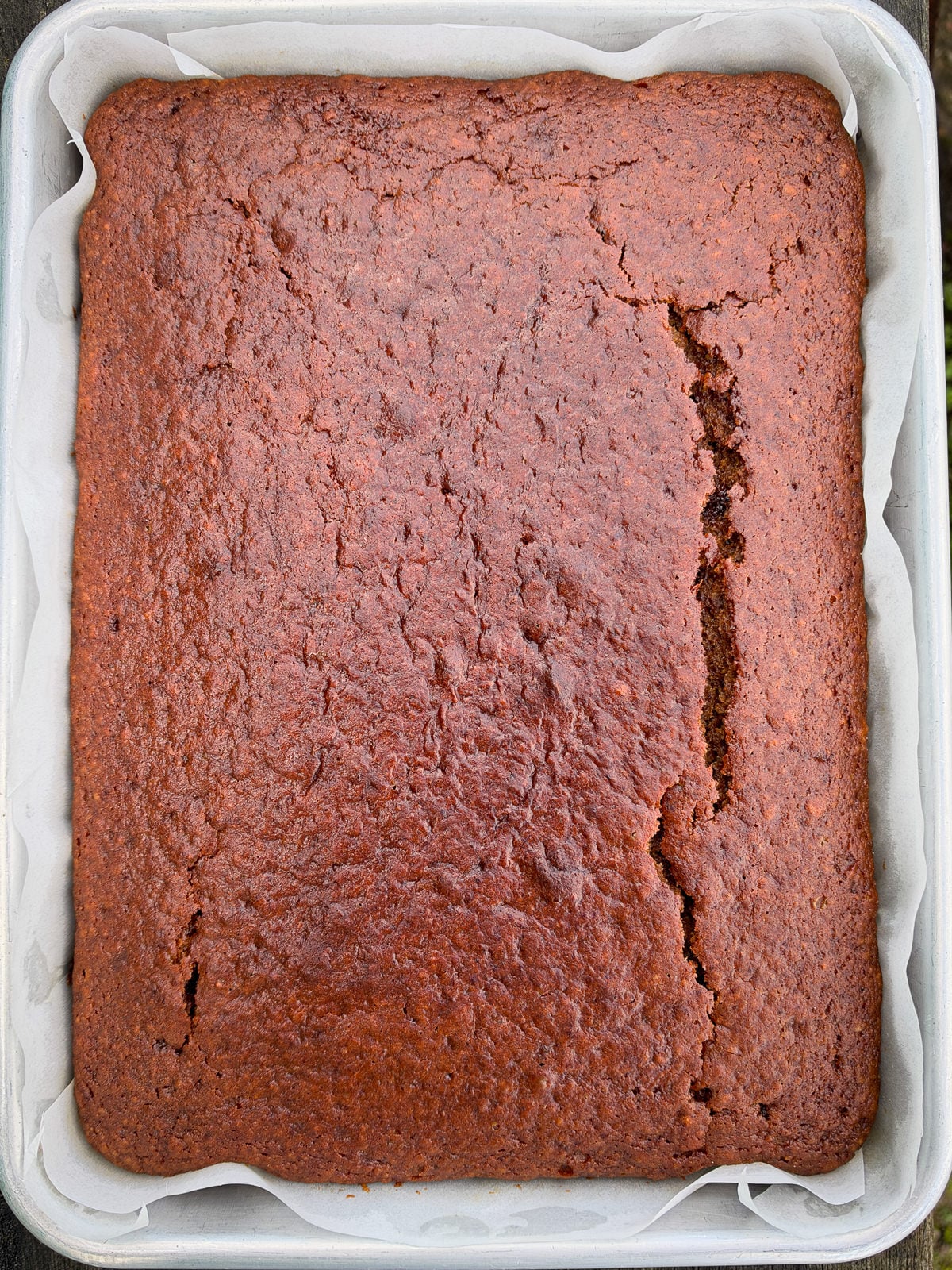 spiced clementine date sponge