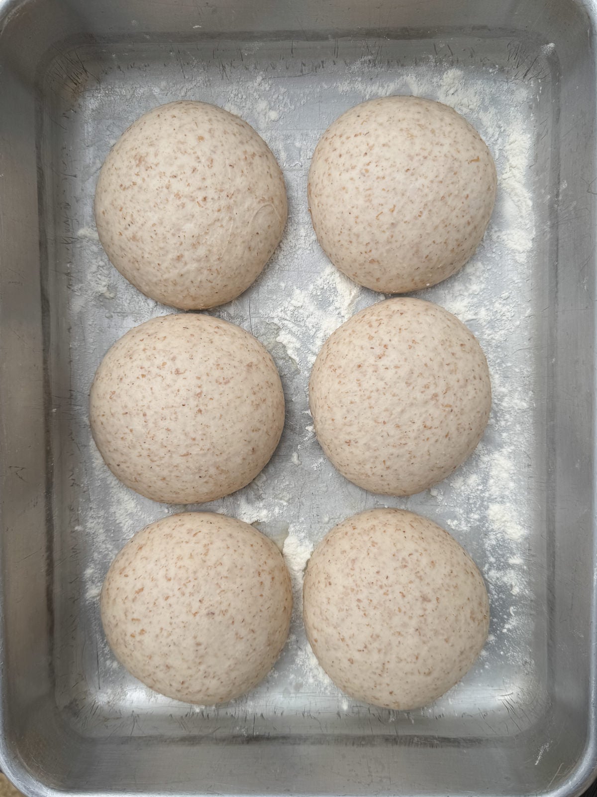cold fermented pita dough