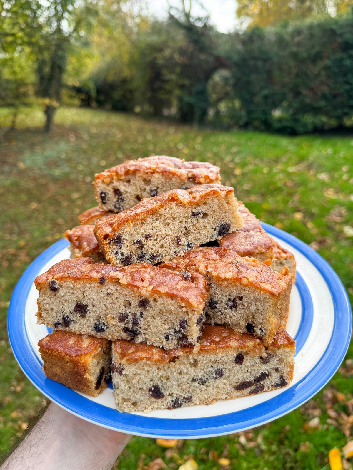 plate of homemade country slices