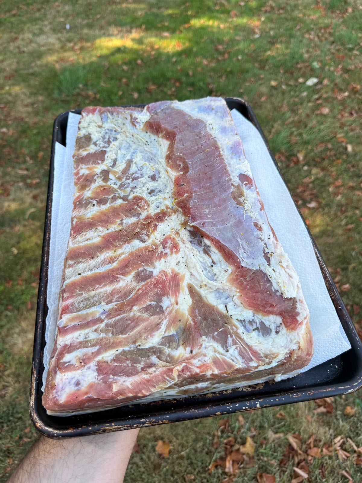 cured pork belly meat