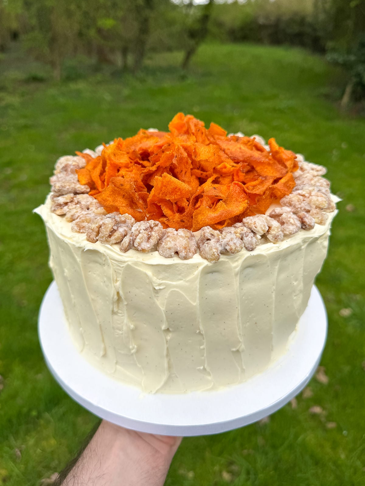 decorated carrot layer cake