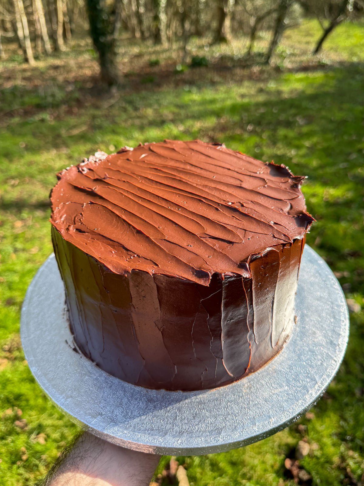 decorated chocolate fudge cake fully assembled