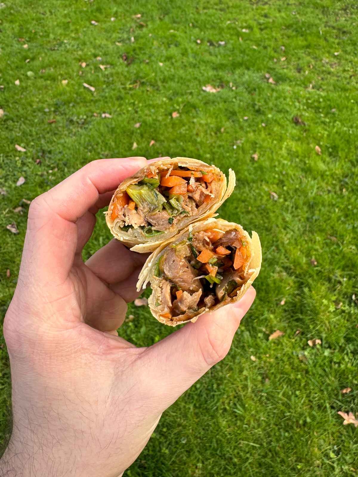 duck spring roll cross section