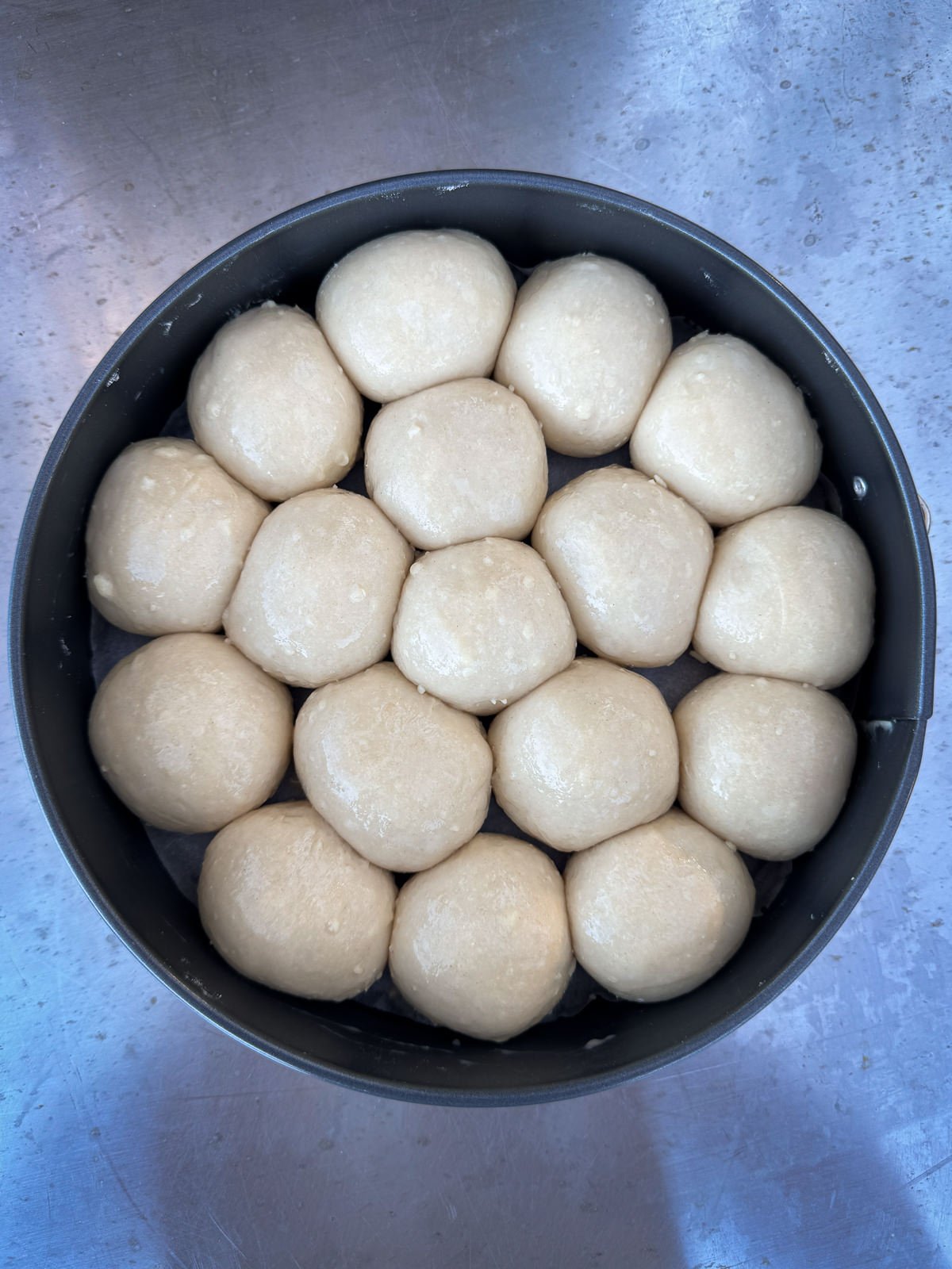 egg washed dinner rolls proved