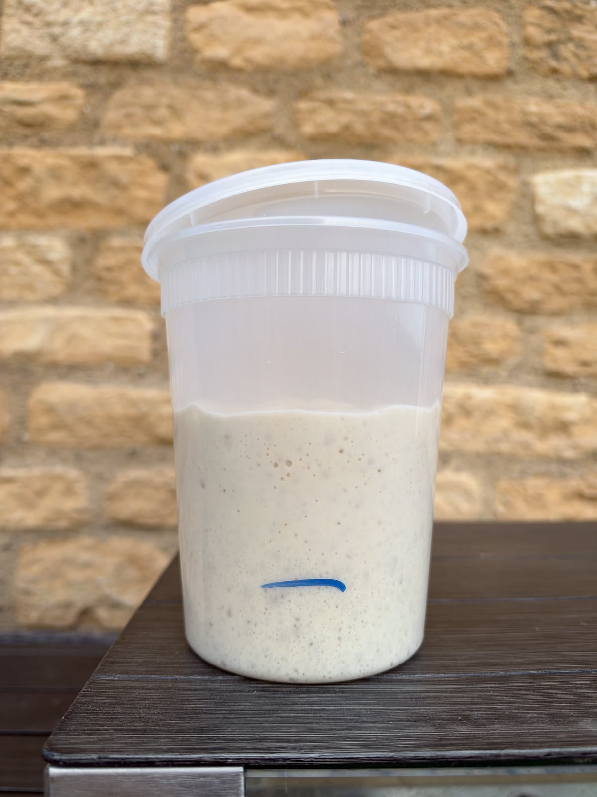 fermented poolish ready to use