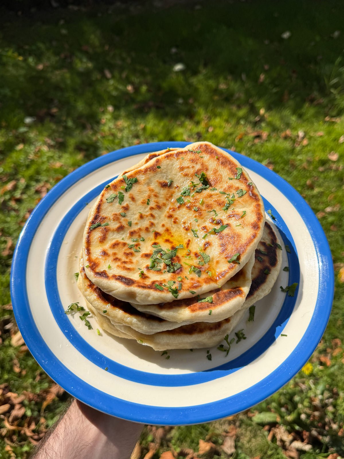 homemade naan brushed with garlic butter