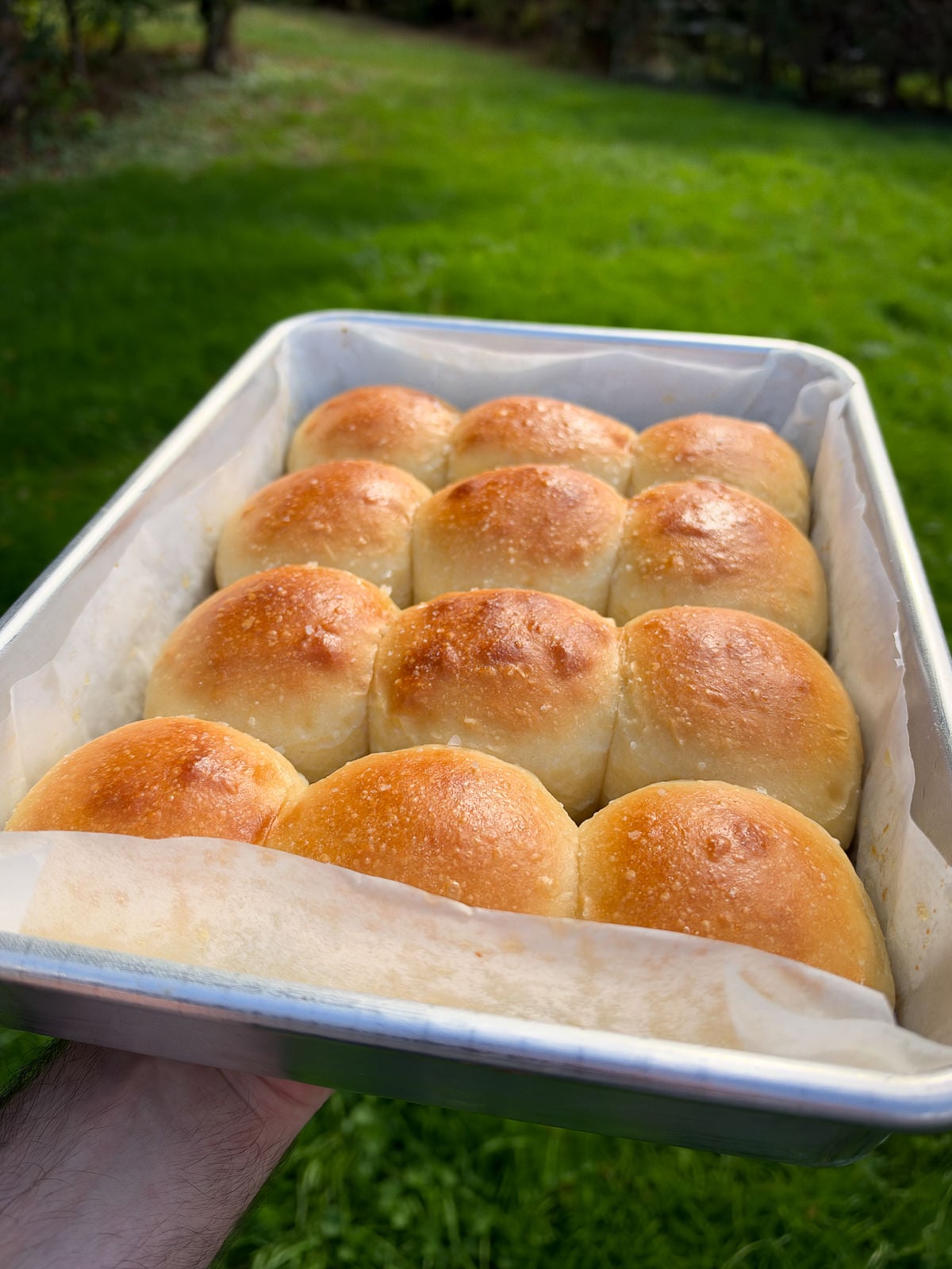 glazed dinner rolls