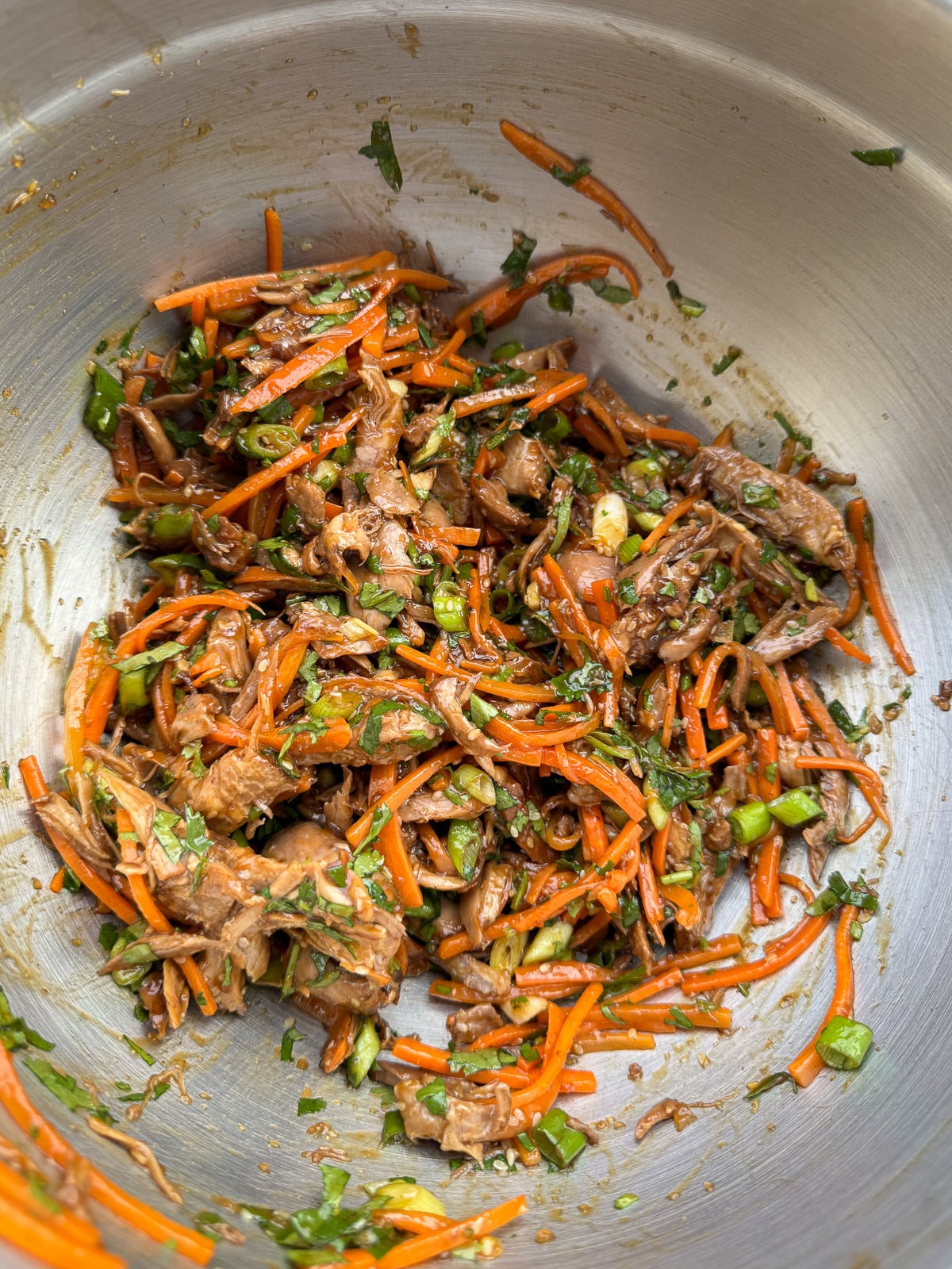 hoisin duck spring roll filling