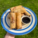hoisin duck spring rolls