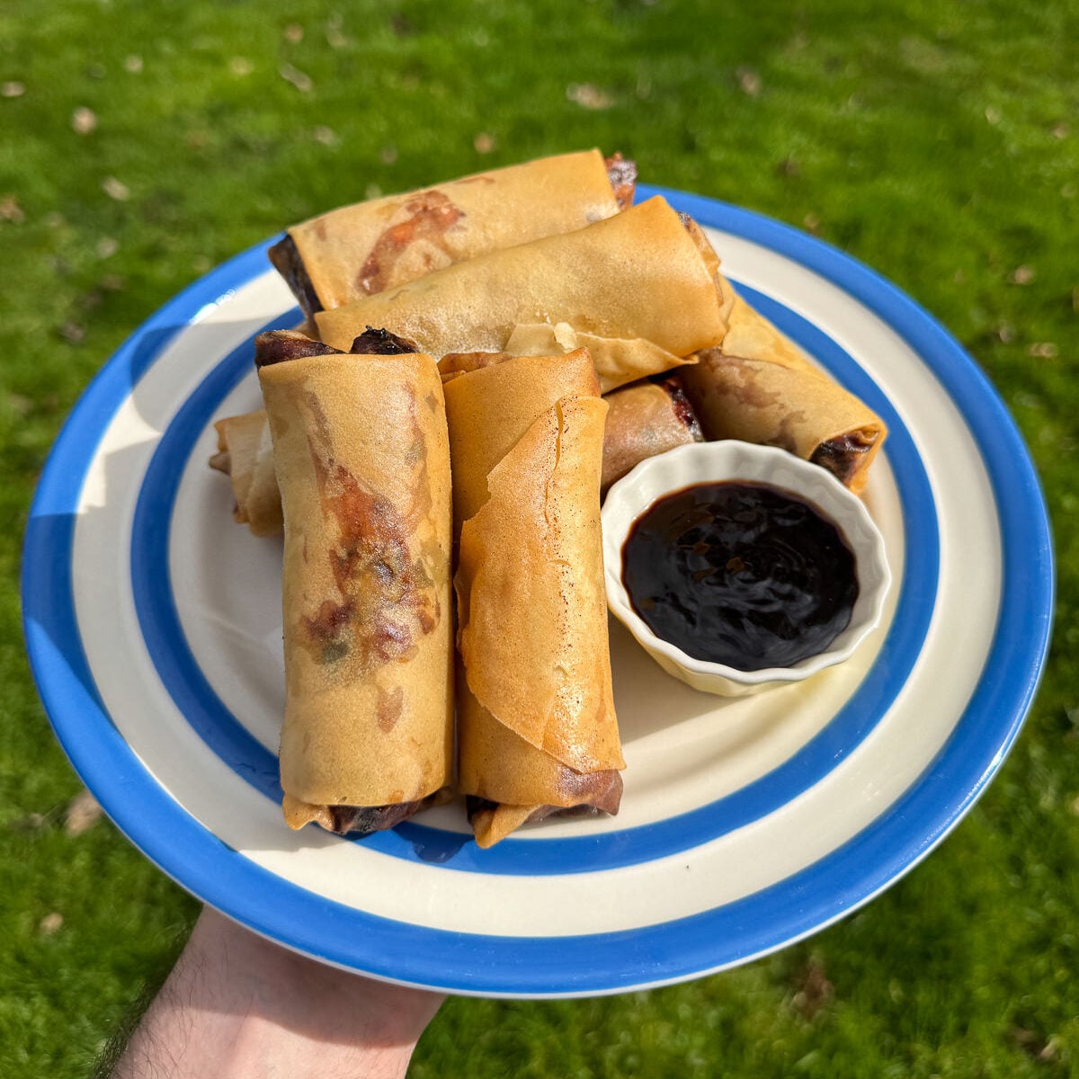 hoisin duck spring rolls