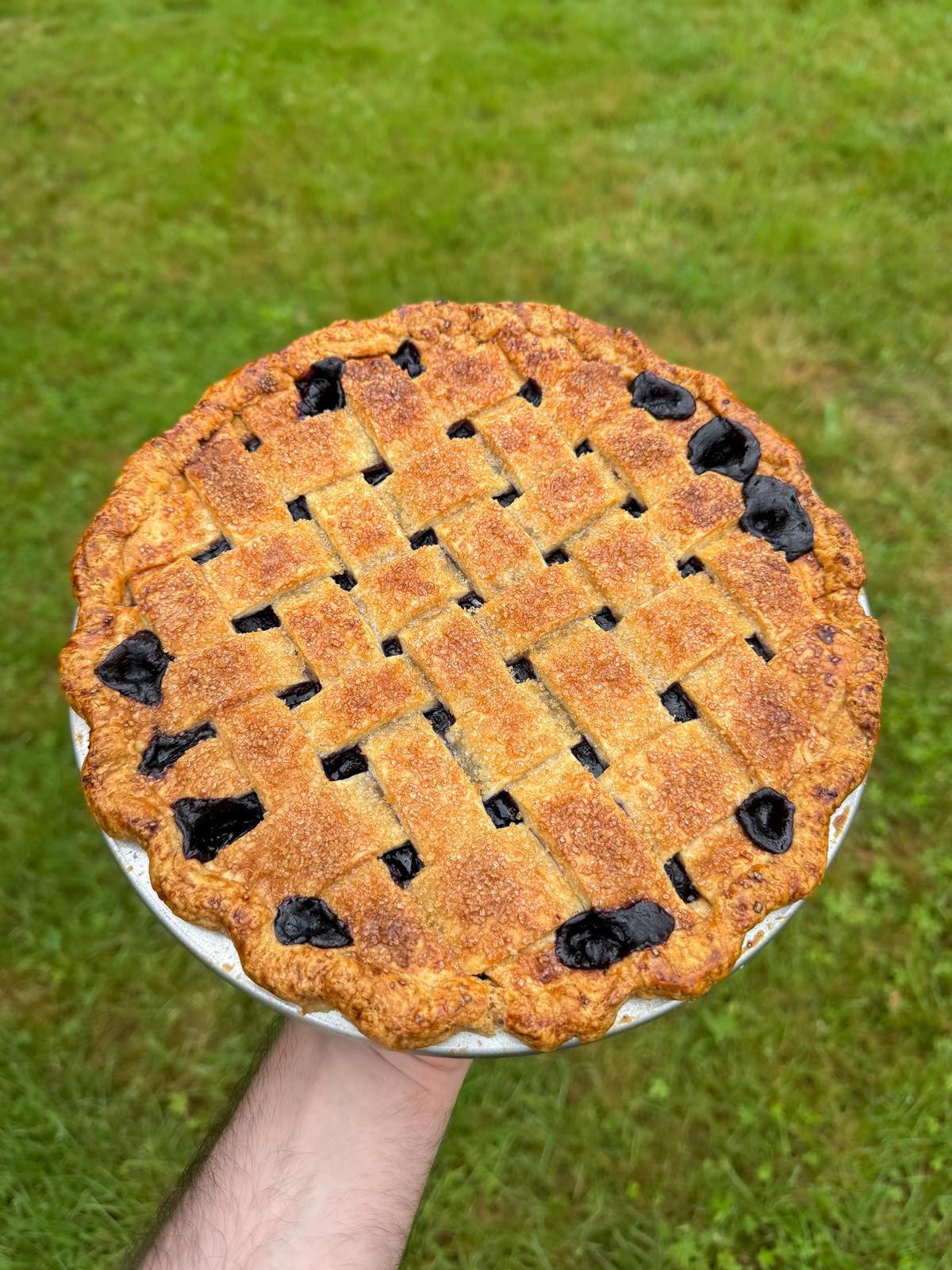 baked blueberry pie