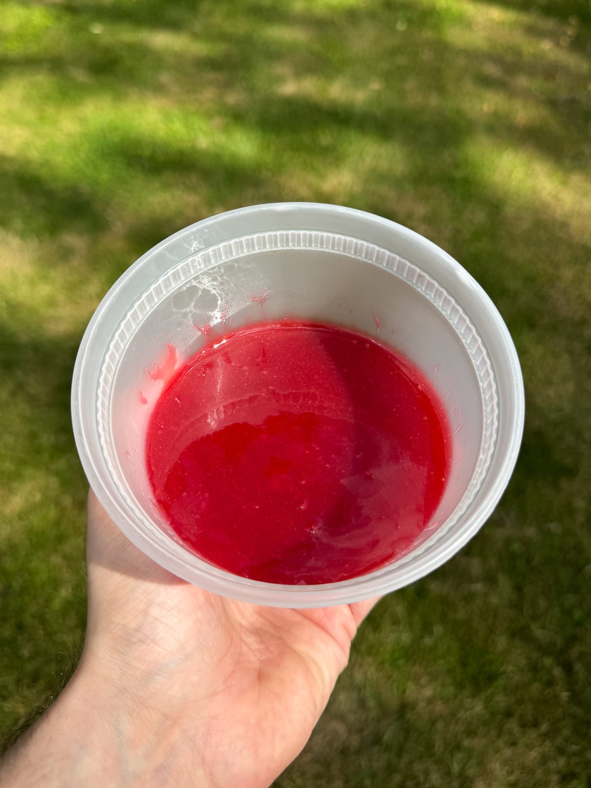 raspberry dessert sauce in pot