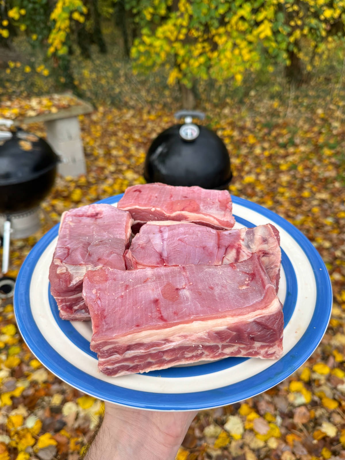 individual beef short ribs